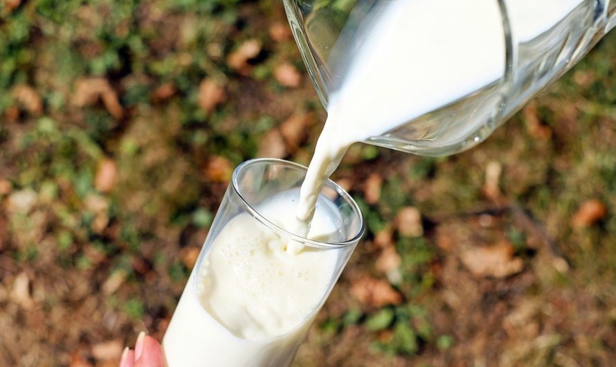 Quelques astuces pour transformer efficacement le lait